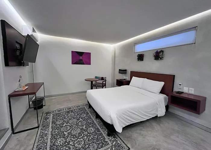 Hotel Urban 101