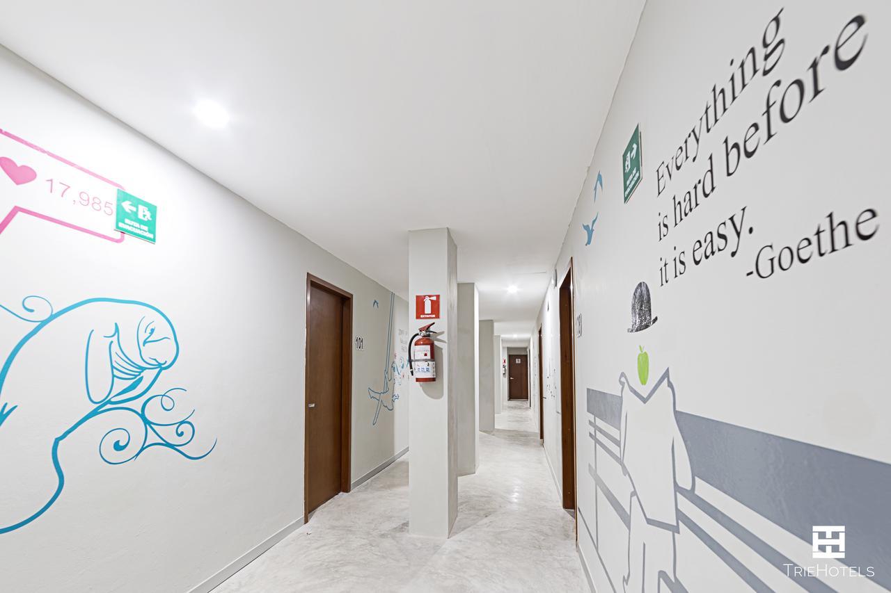 Urban 101 3* Chetumal
