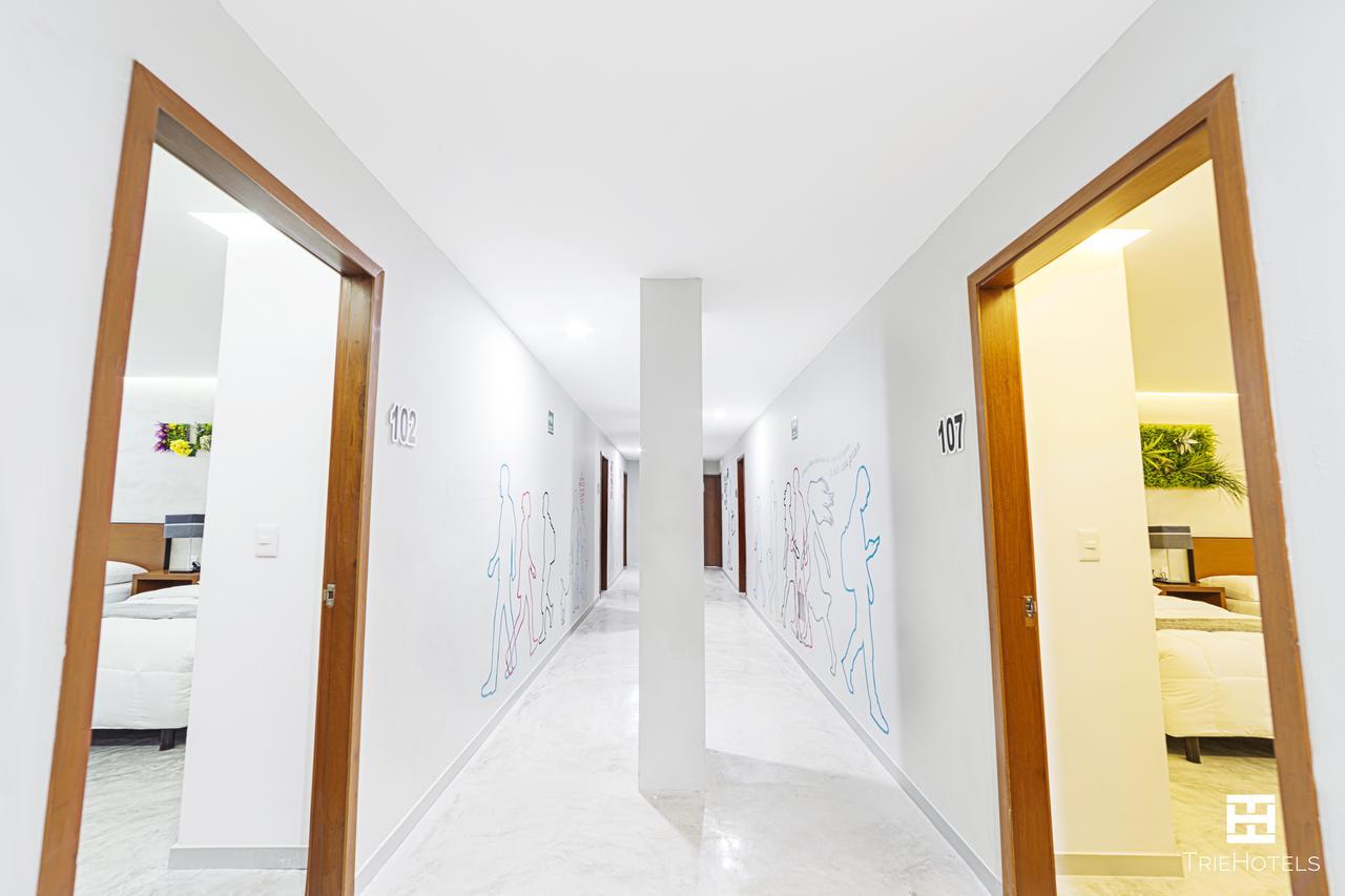 Urban 101 Hotel 3*